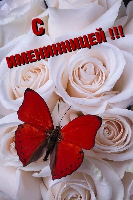 Elegant rose card for Name Day