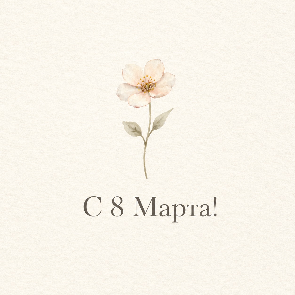 Elegant Minimalist Card for March 8