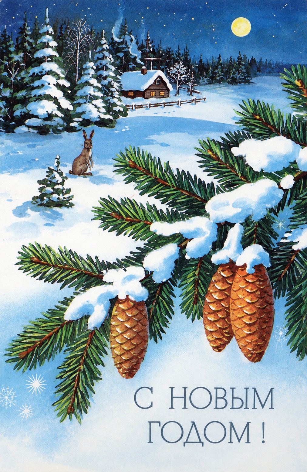Winter New Year Card with Snowy Pine Branches